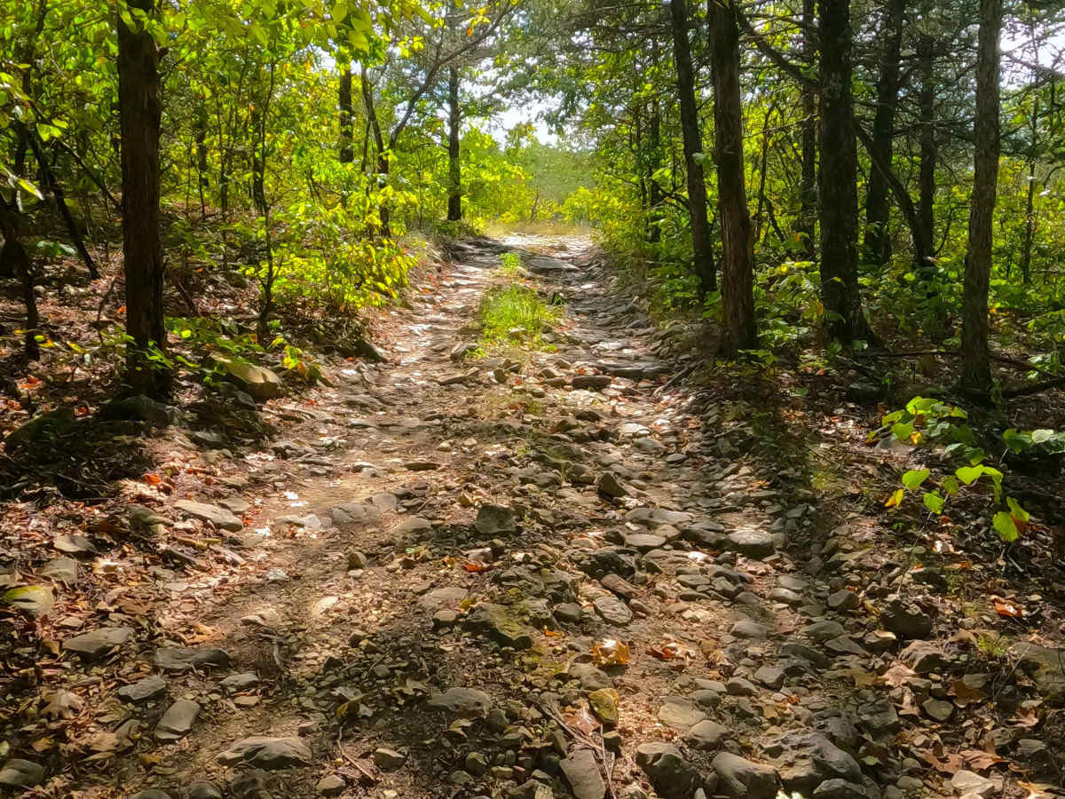 Pet Hollow - FS 507A photo 5