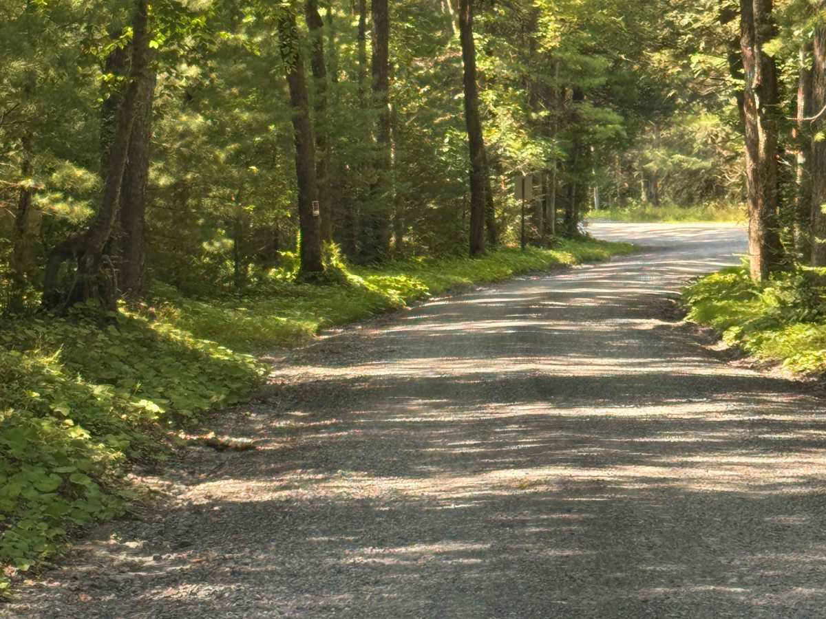 Truman Run Road photo 4