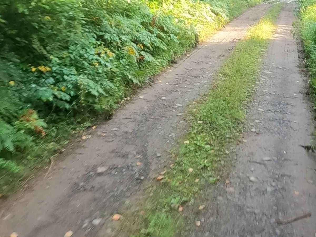 Lukes Road photo 6
