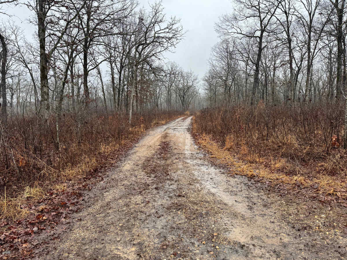 FS 1530C trail photo