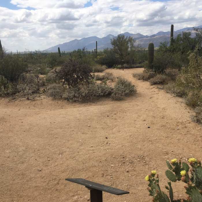Near Bajada Vista Trail
