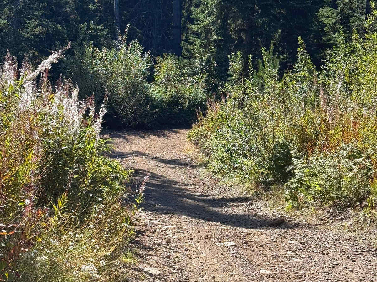 Telkwa Pass photo 3