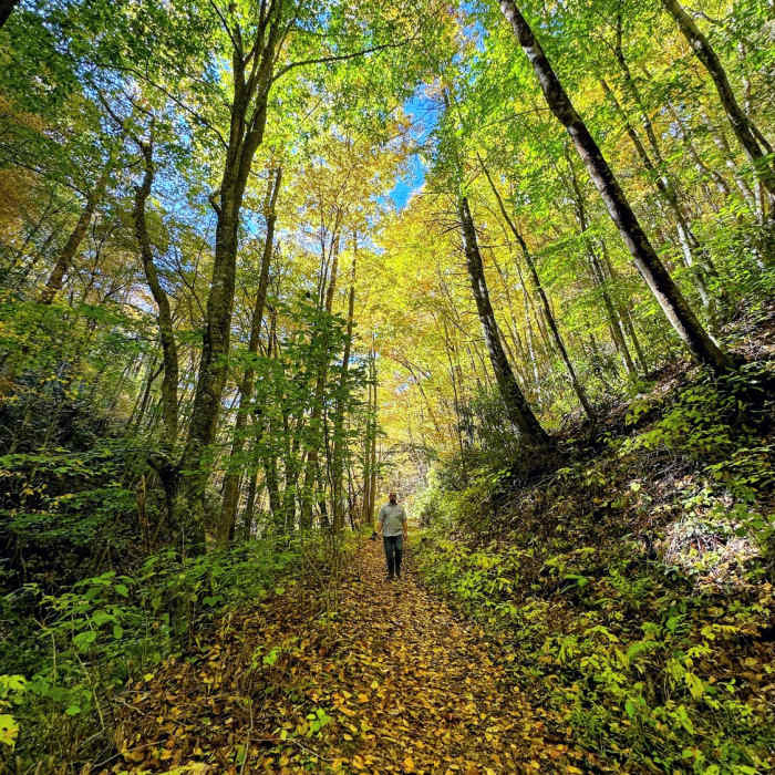 Near Flint Creek Trail