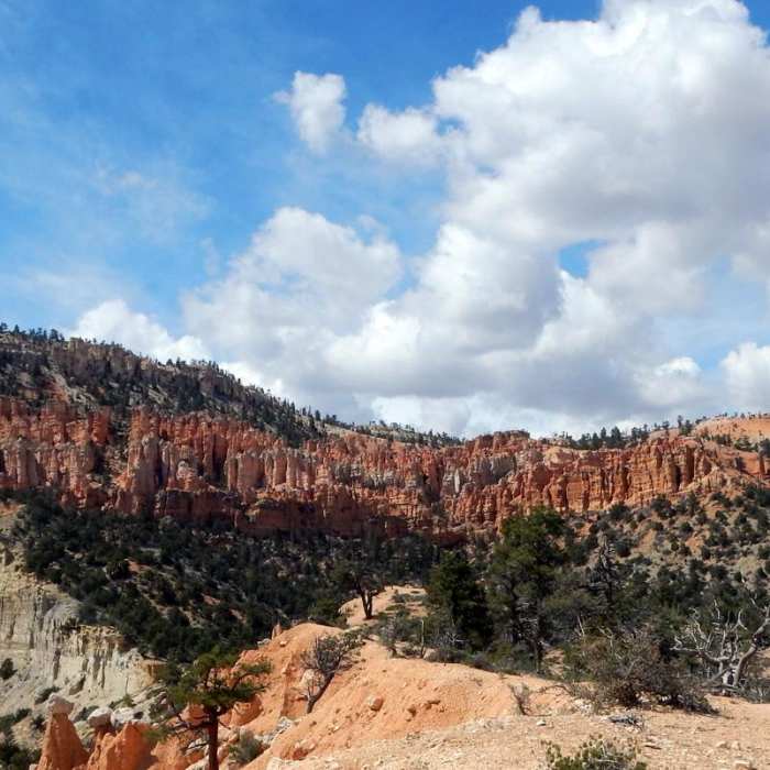 Near Under-the-Rim Trail to Hat Point