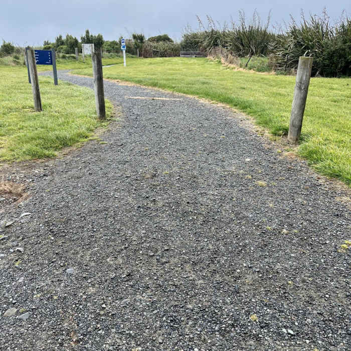 Near Curio Bay Track Near Curio Bay Track