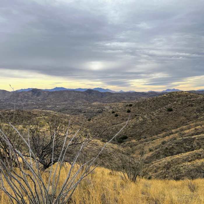Near Arizona Trail Passage 6: Las Colinas