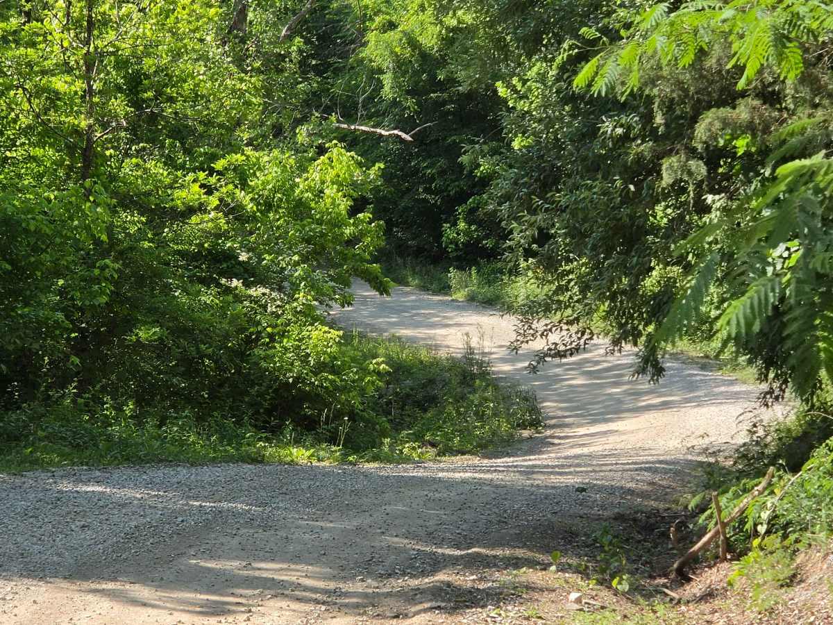 Newfound Road photo 5