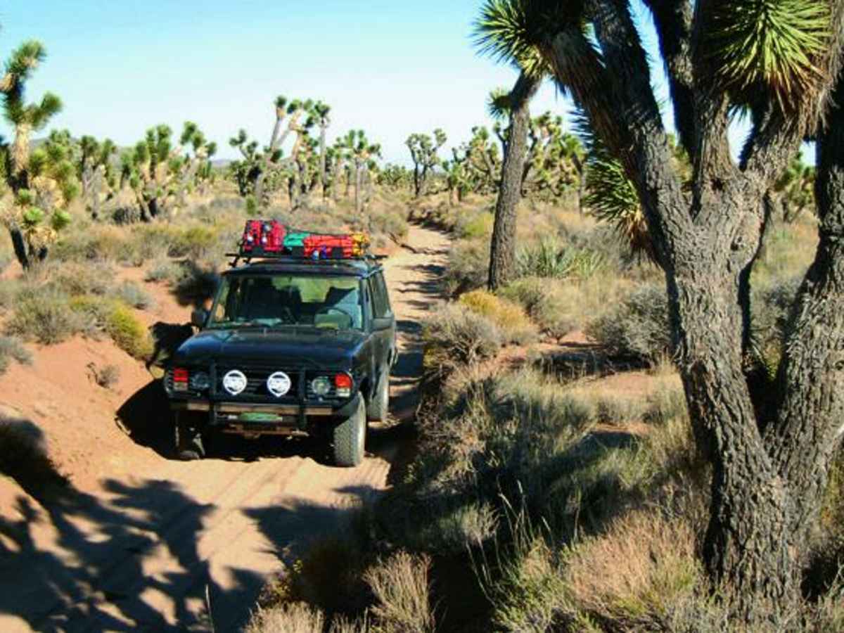 Mojave Road, Central photo 6