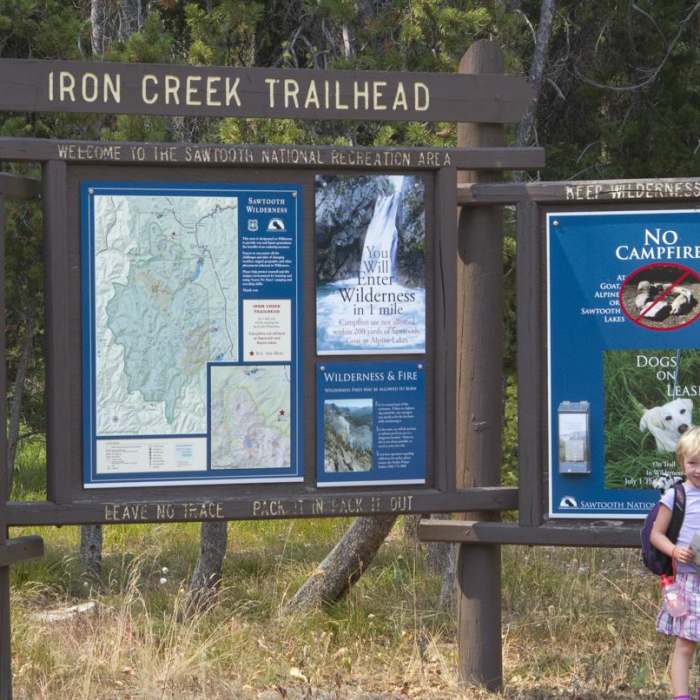 Near Alpine Way Trail, Iron Creek to Stanley Lake