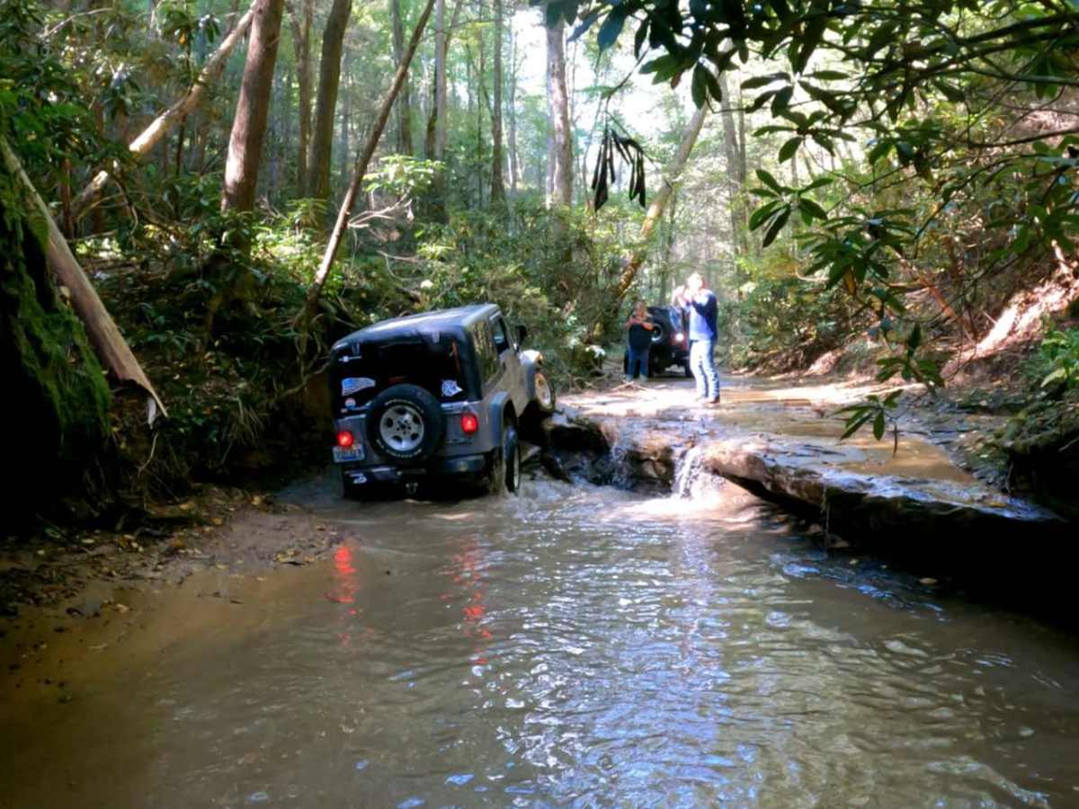 Cowen Creek photo 4