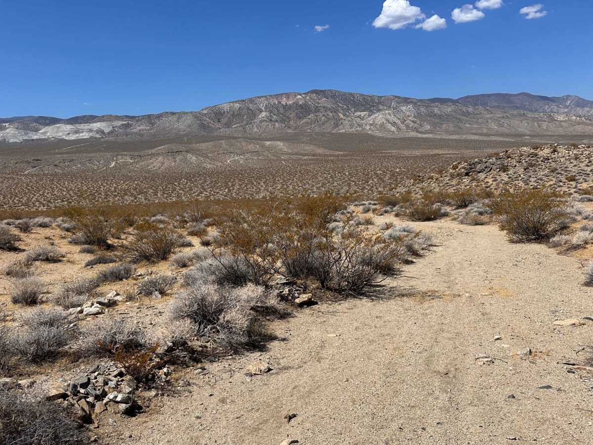 East Fork Wash photo 6