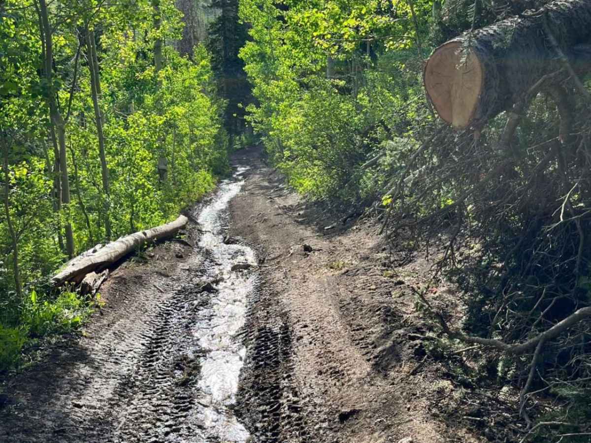 Middle Fork photo 4