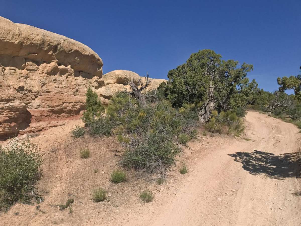 Red Mountain Moonshine Arch photo 4