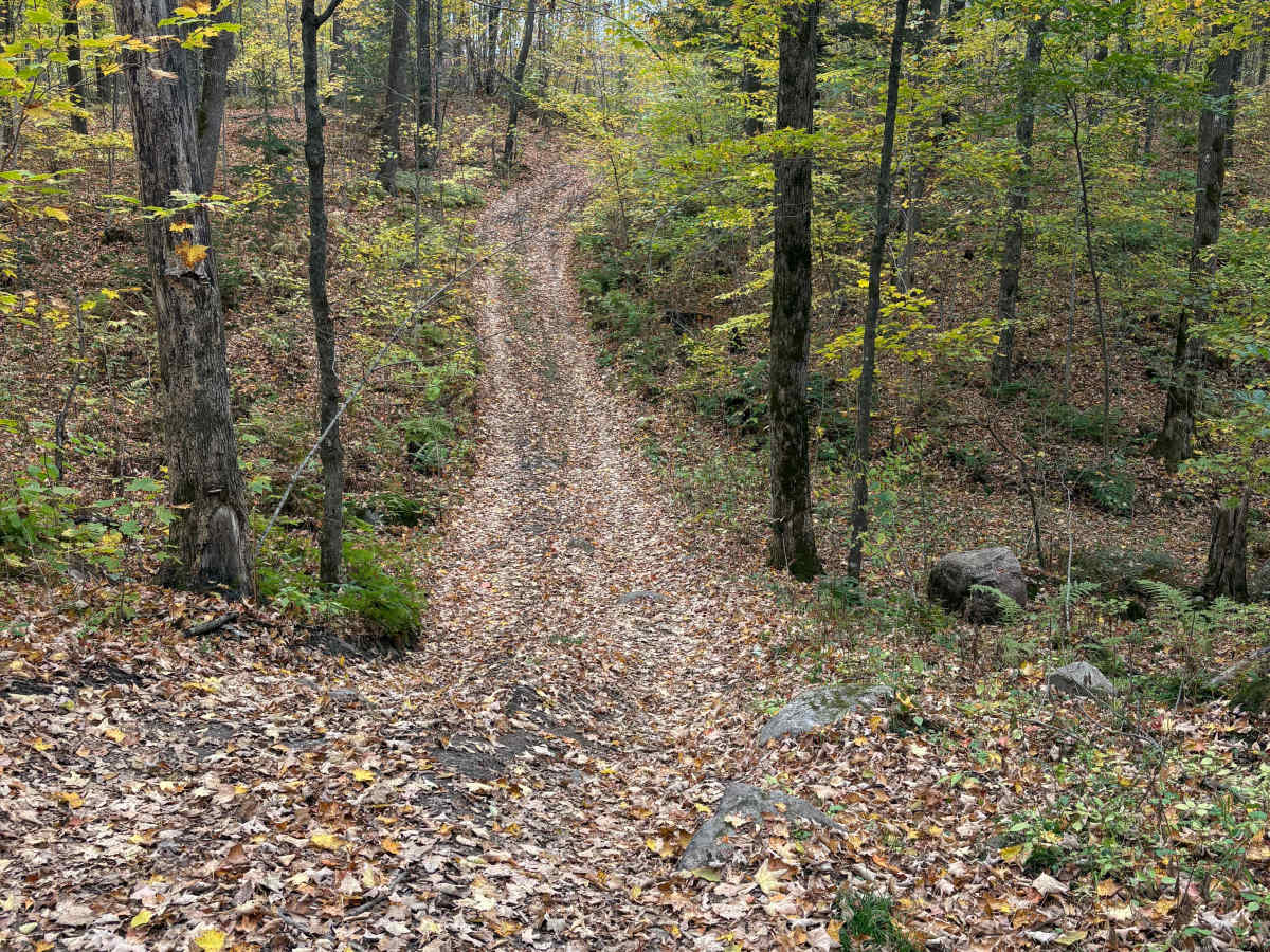 Porkey Lake Loop trail photo