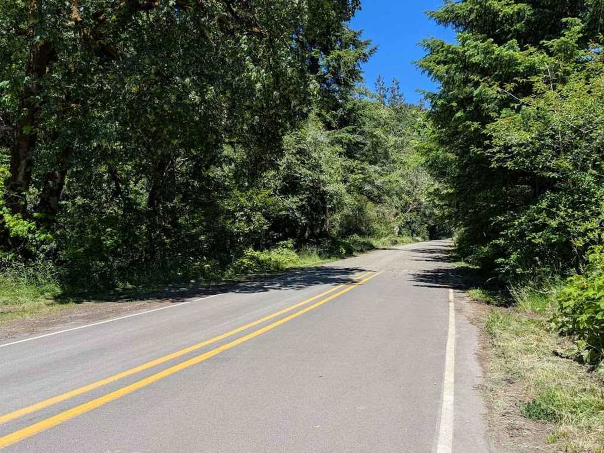 Yachats River Road - FS 54 photo 2
