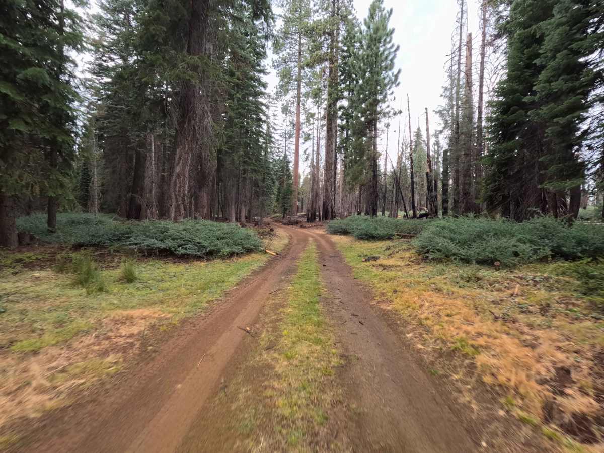 Thin Meadow - FS 5S015Y photo 2