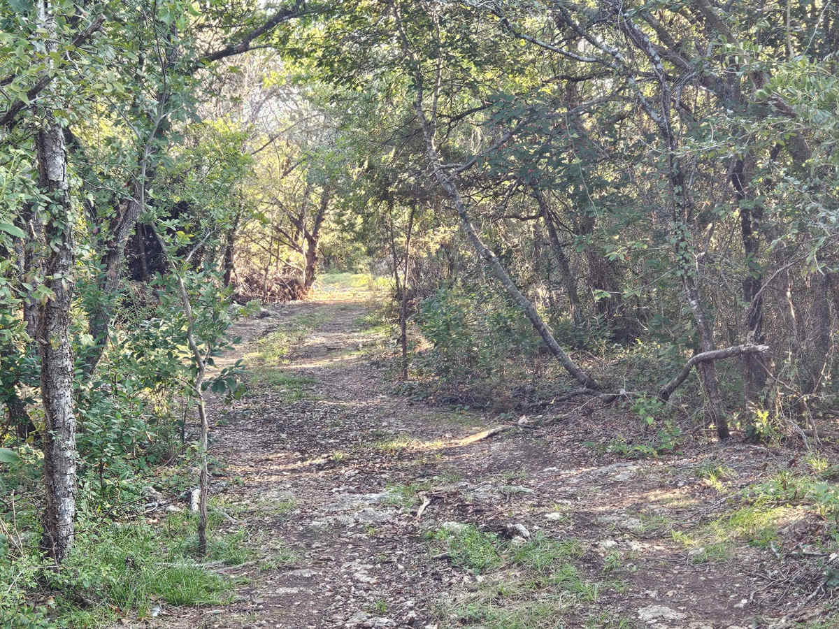 Sleepy Shortcut photo 6