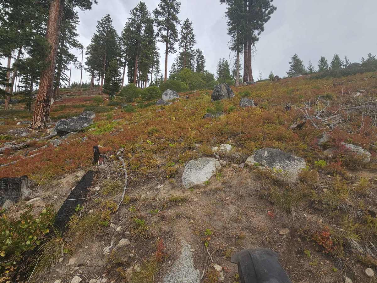 Gash Creek Singletrack photo 3