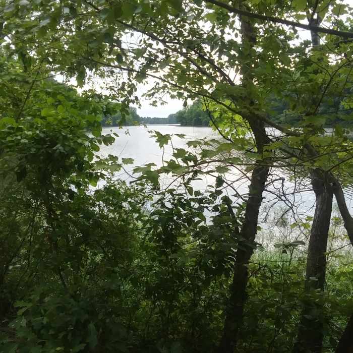 Near Salem Lake Trail