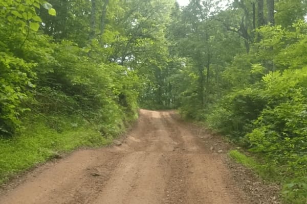 Honey Trace Hill