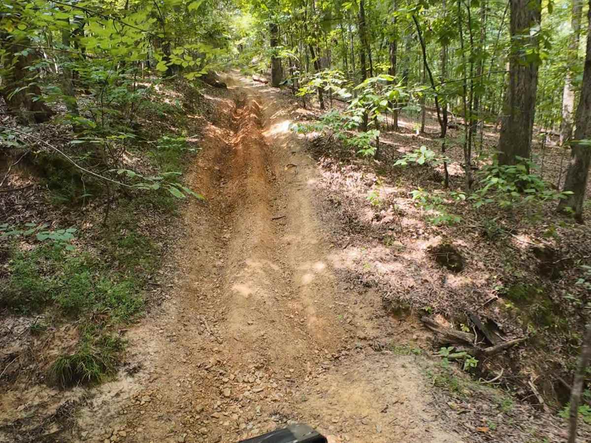 SIP Off Road Trail photo 6