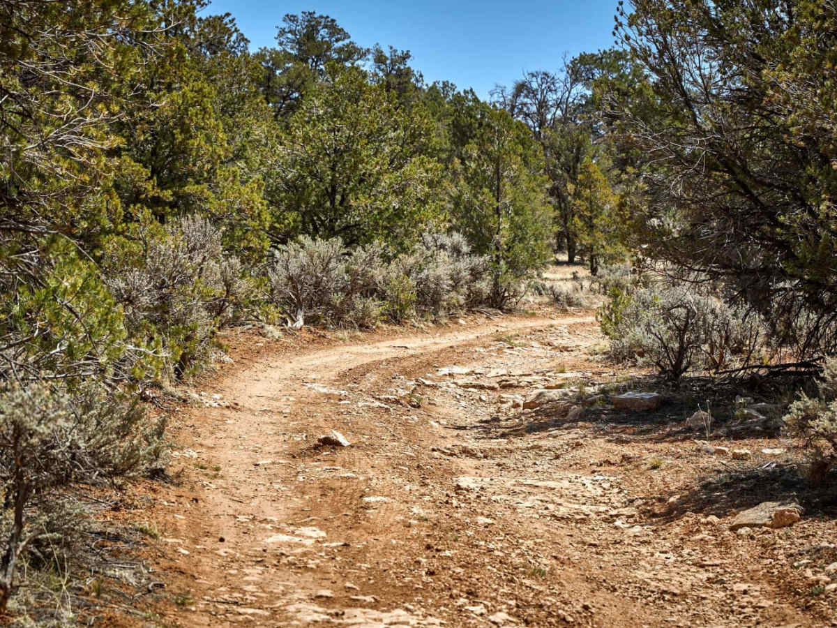 7 Mile Tank Road trail photo