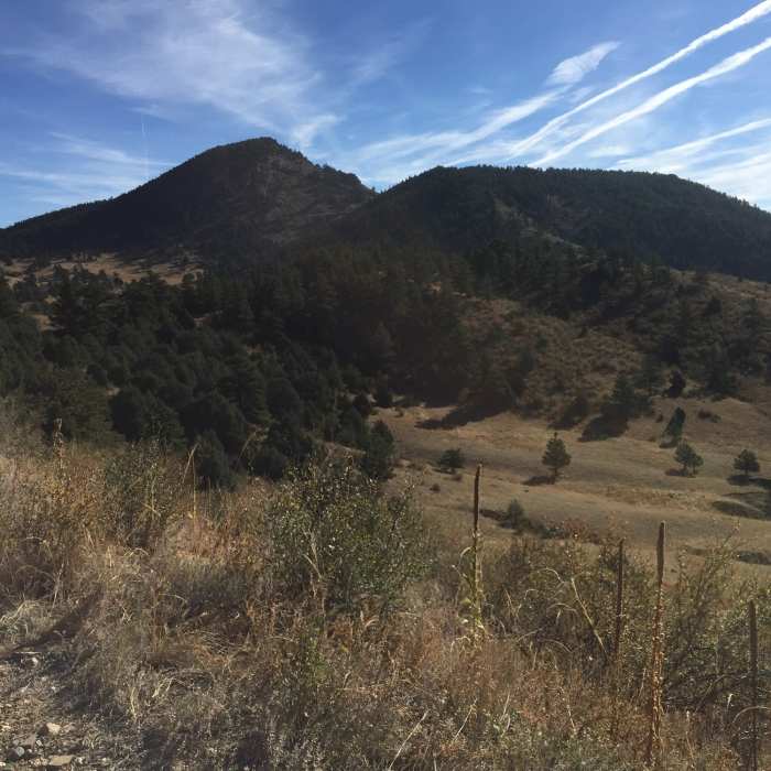 Centennial Cone Near Elk Range Trail