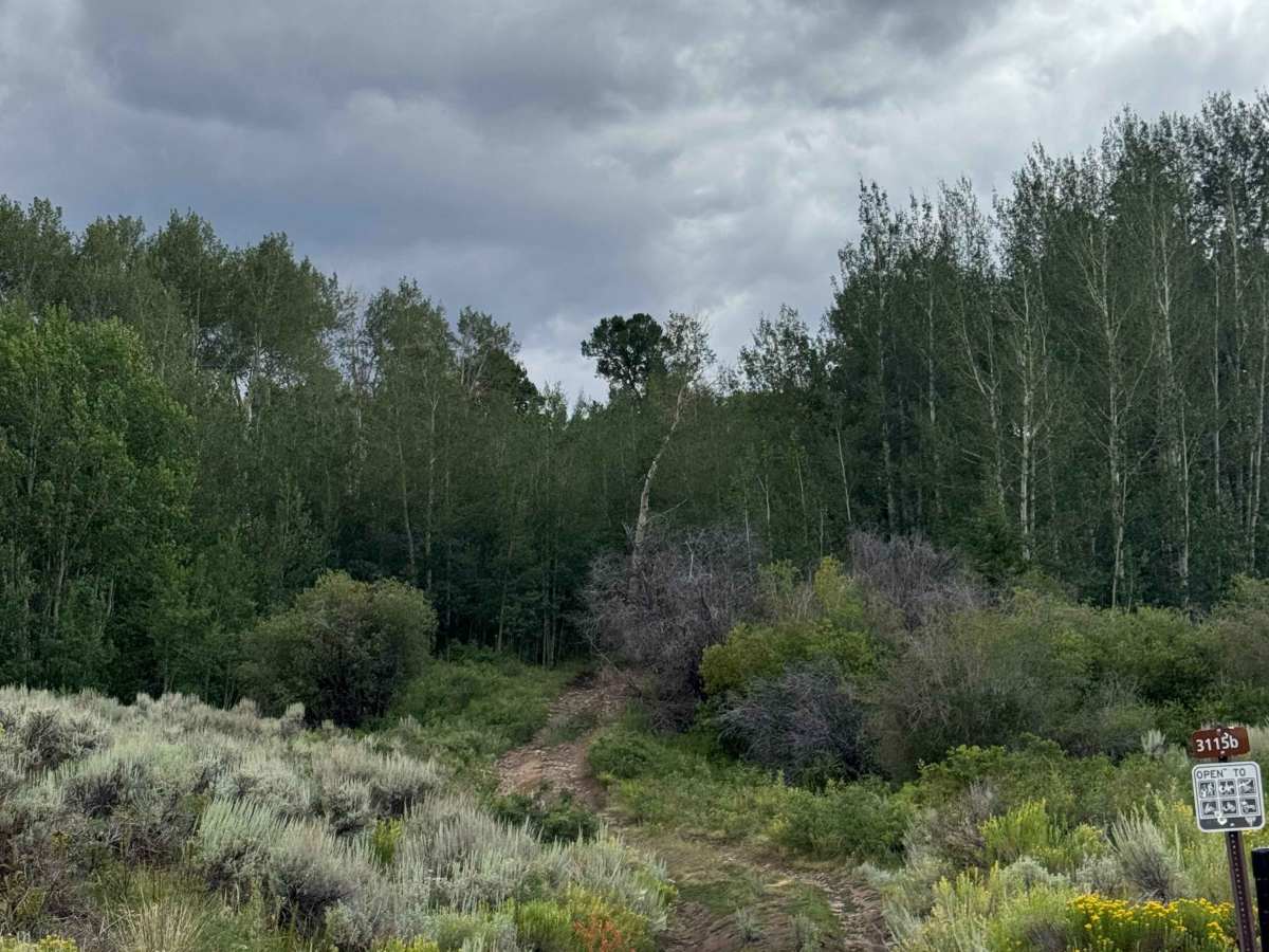 Mill Creek Ski Trail Road trail photo