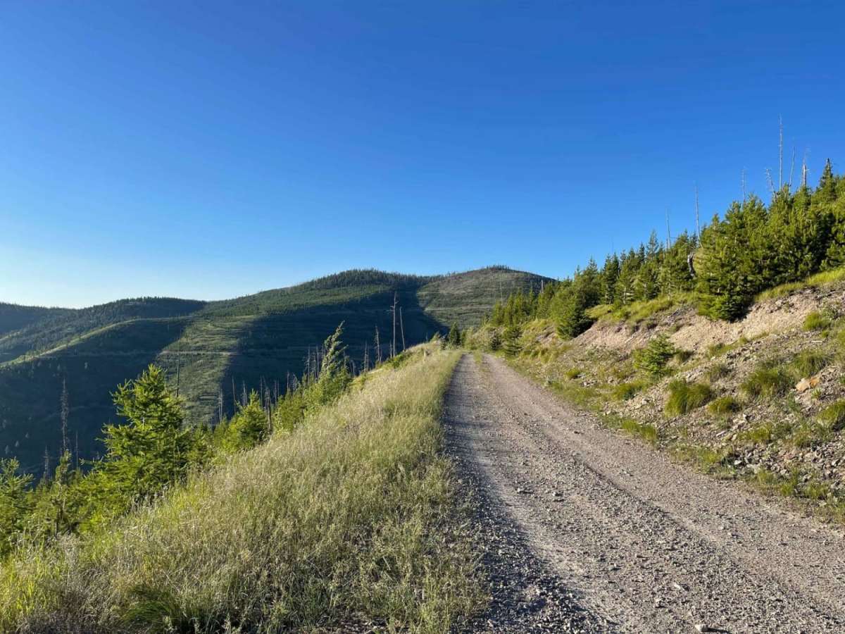 Sluice Creek trail photo