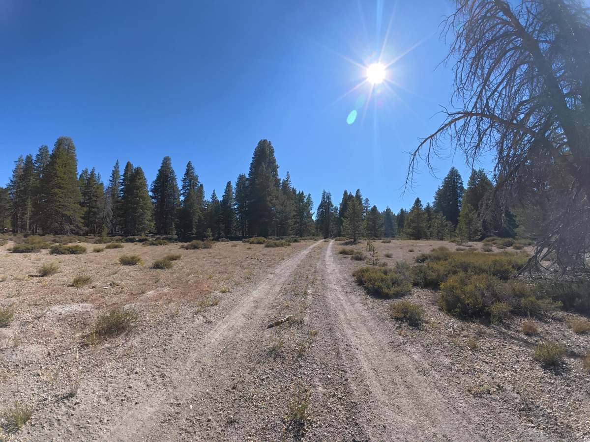 FS 1S137 trail photo
