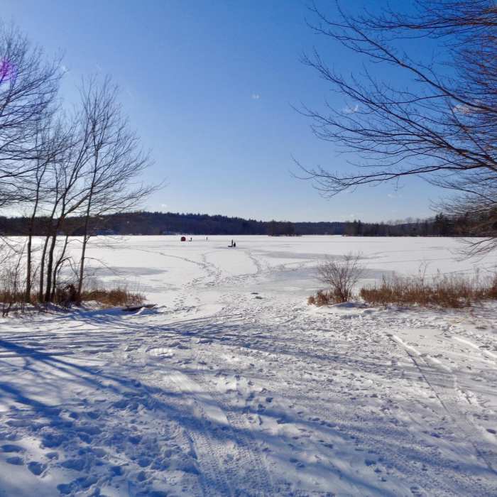 Near John F. Malley Trail Near John F. Malley Trail