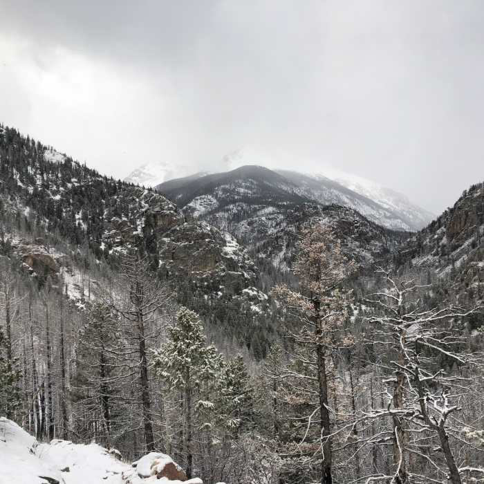 Near Mill Creek Trail