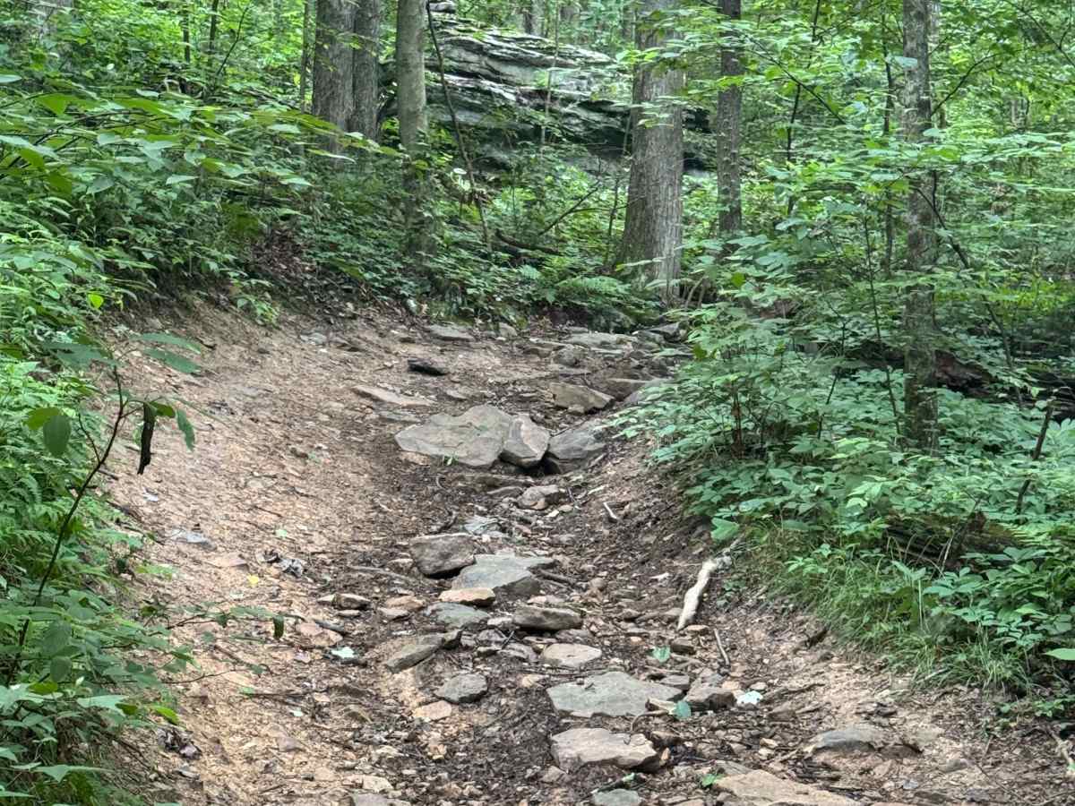 Trail 67 photo 6