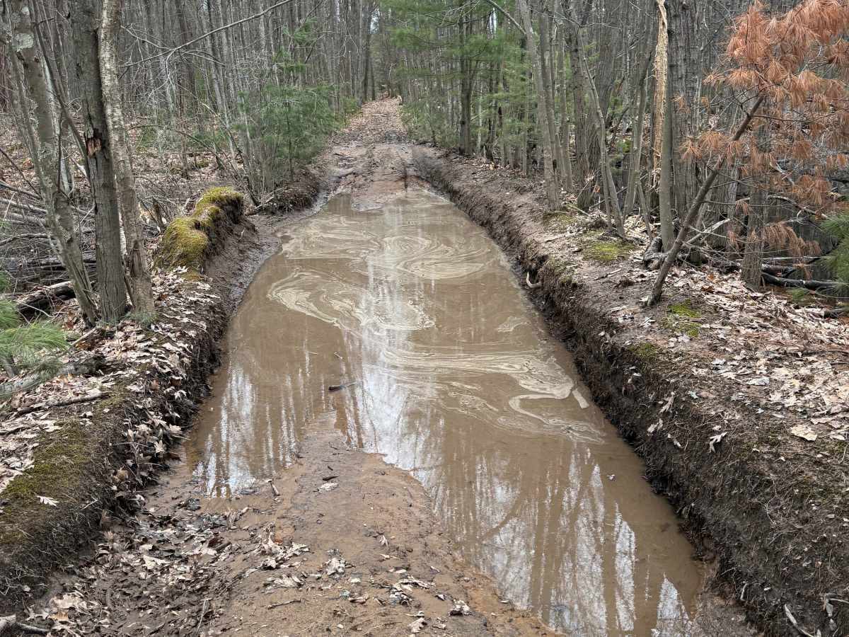 FS 6102 trail photo