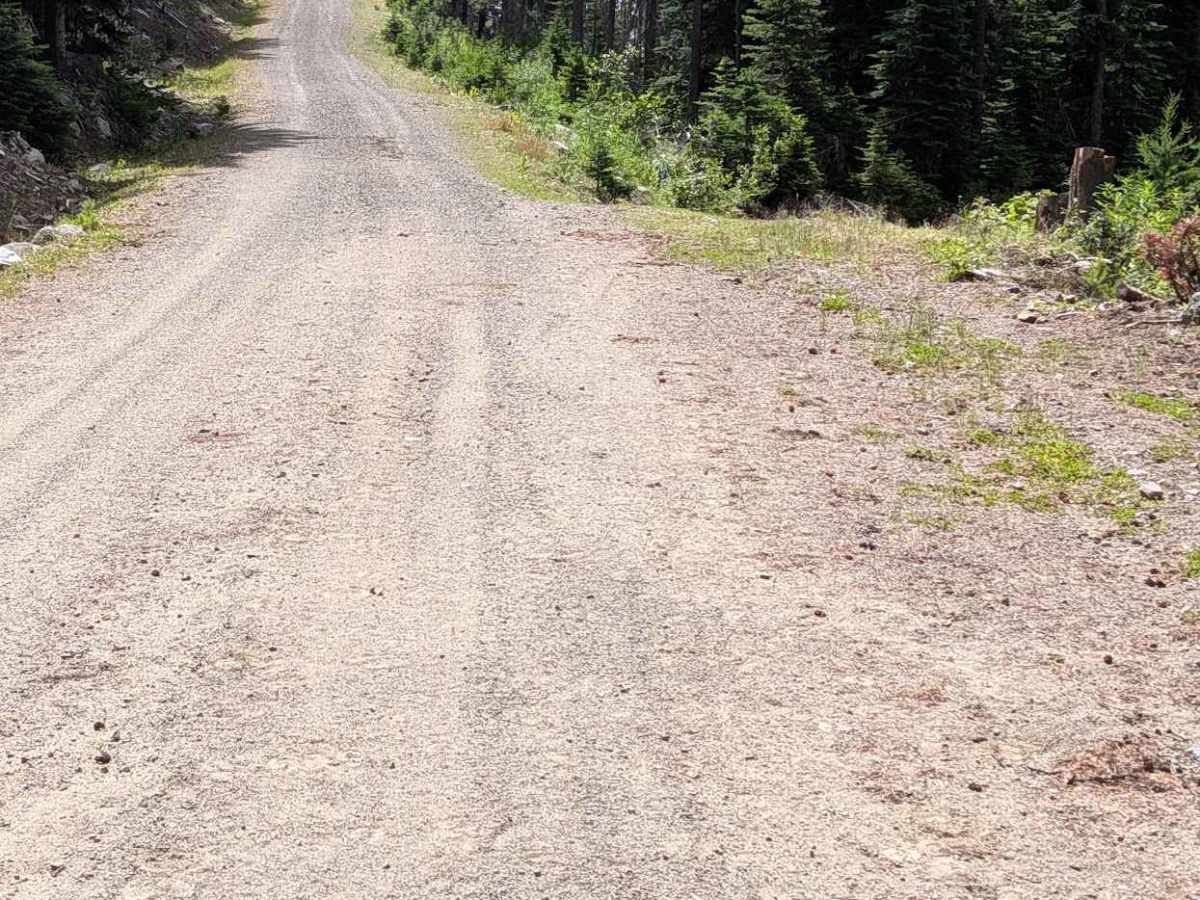 Chickadee Road photo 6