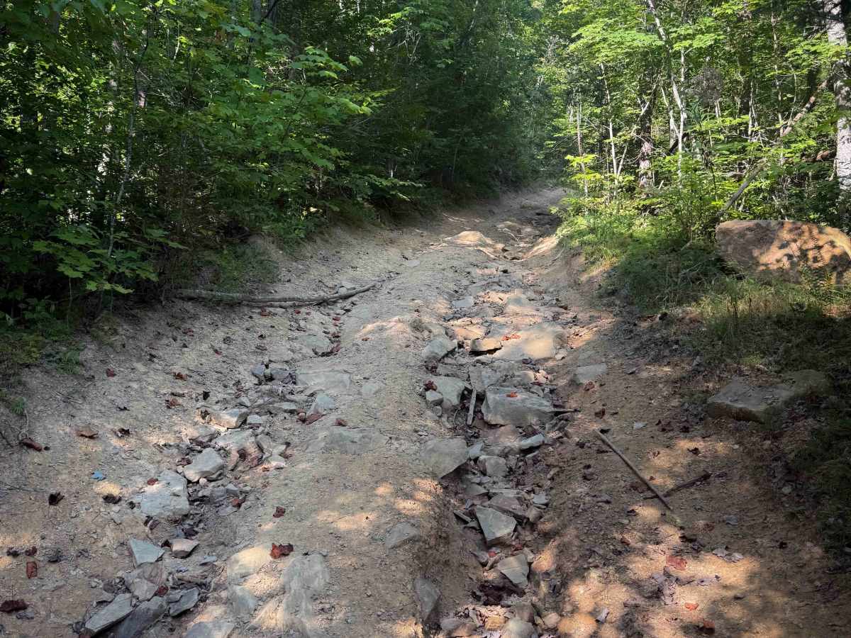 Pete Hollow Trail photo 5