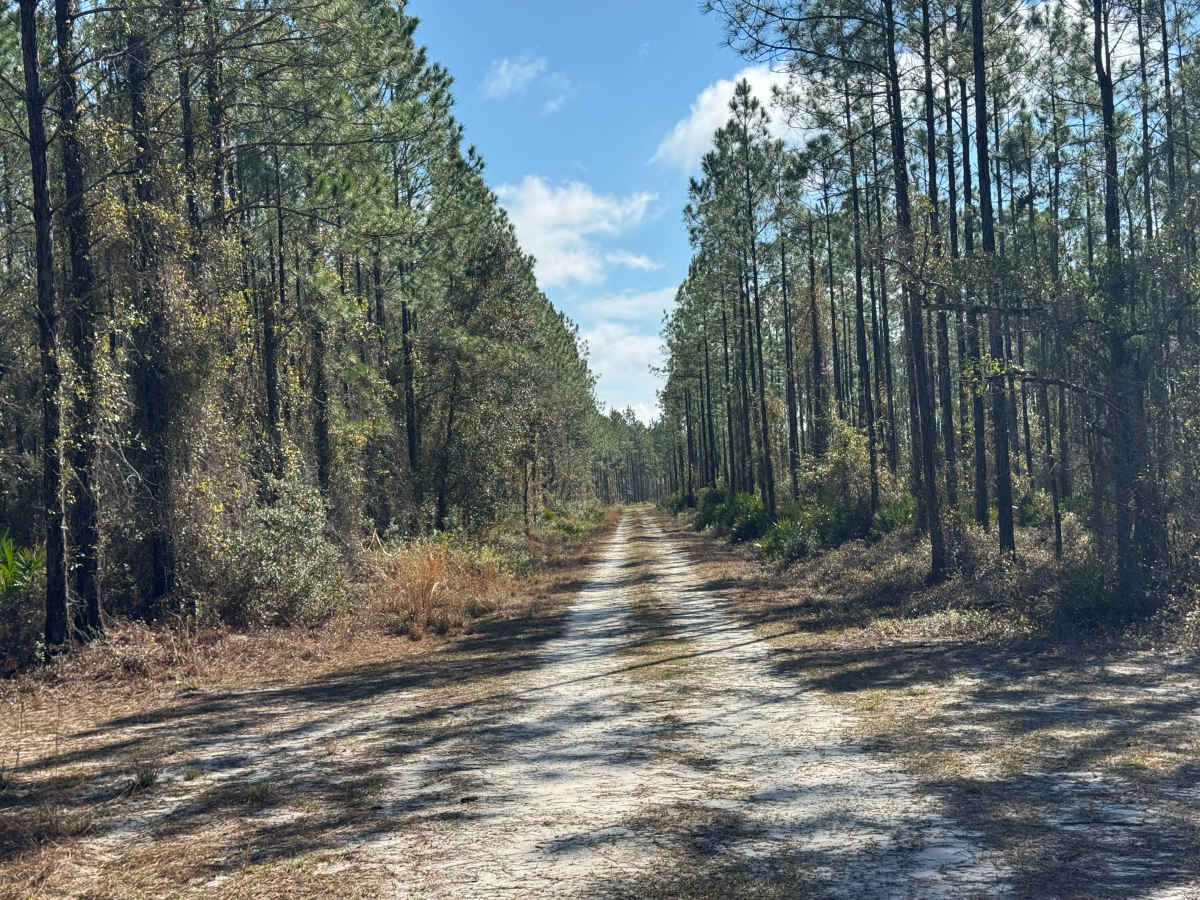Clay Hill Road photo 4