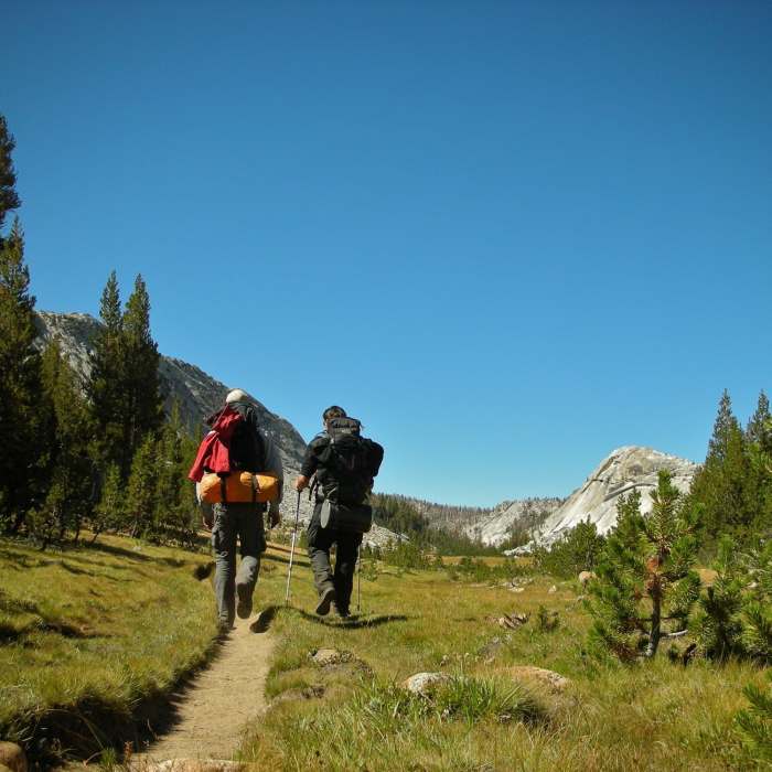 On the road again - Vogelsang Trail. Near Emeric Creek Trail
