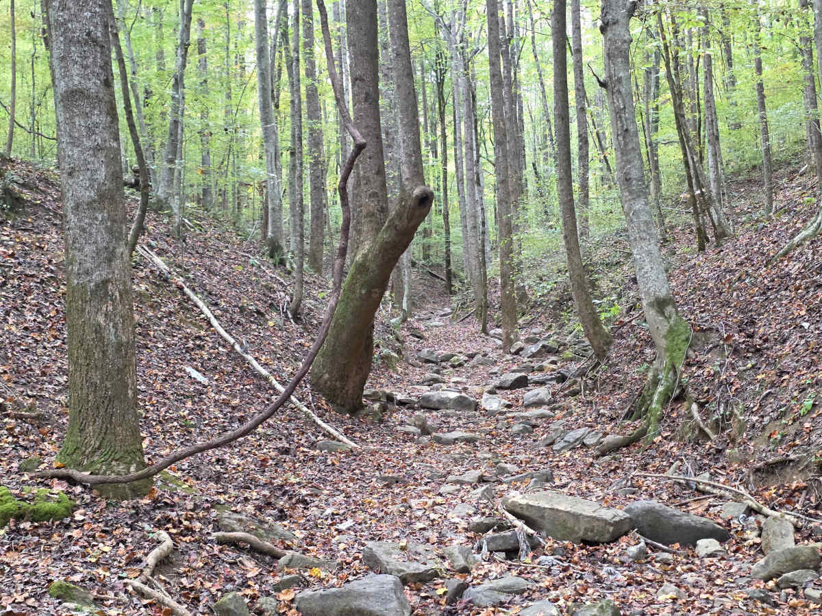 Wrong Turn photo 5