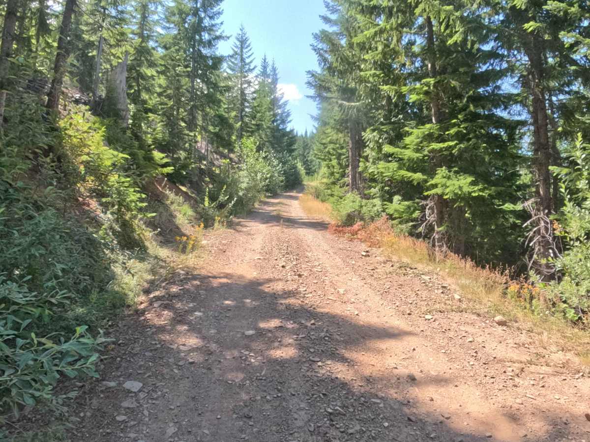 Tommy Tie - FS 2047840 trail photo