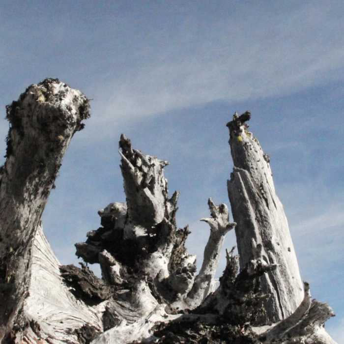 Near Mount Margaret via Norway Pass