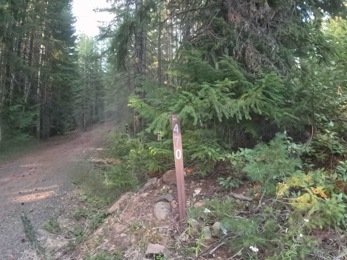 FS 1168470 trail photo