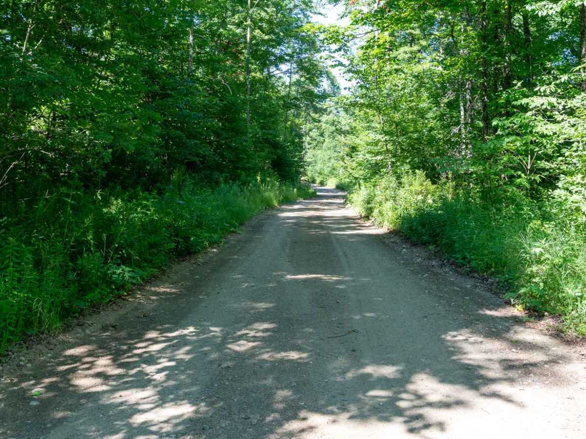 Elm Lake Road photo 6