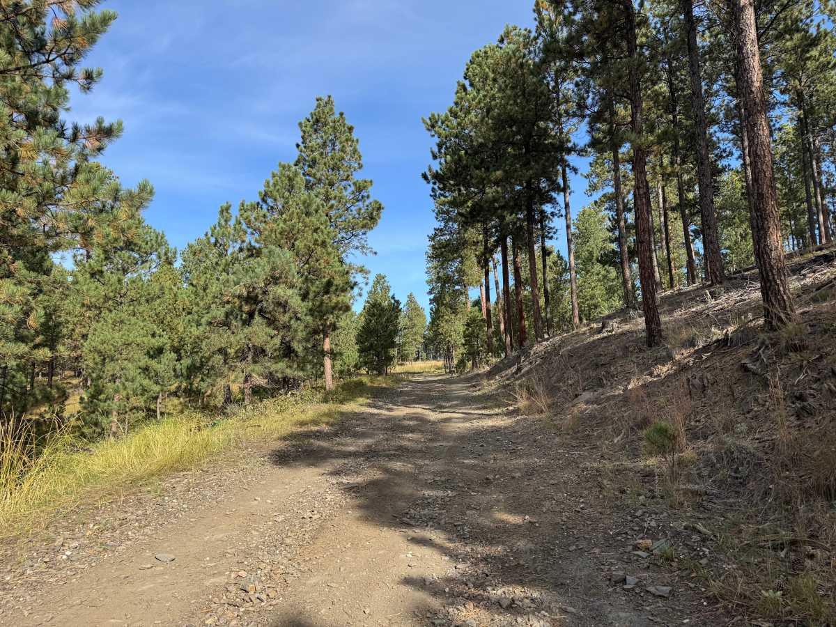 Newton 27 trail photo