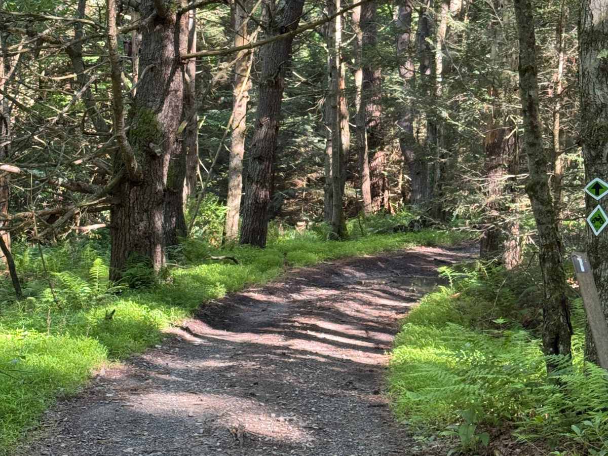 Stitzer's Well Trail photo 2