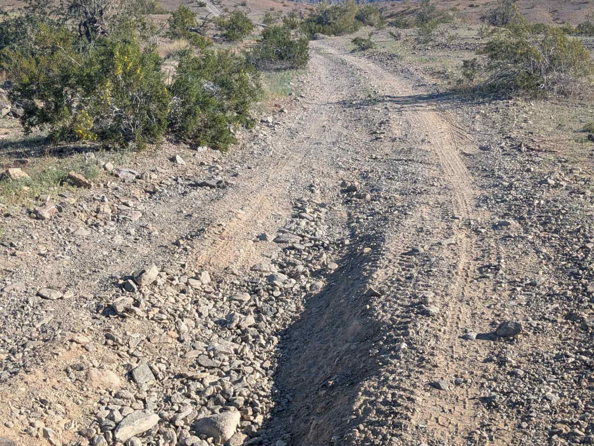 EC1253 trail photo