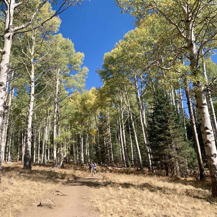 Near Kachina Trail Out-and-Back