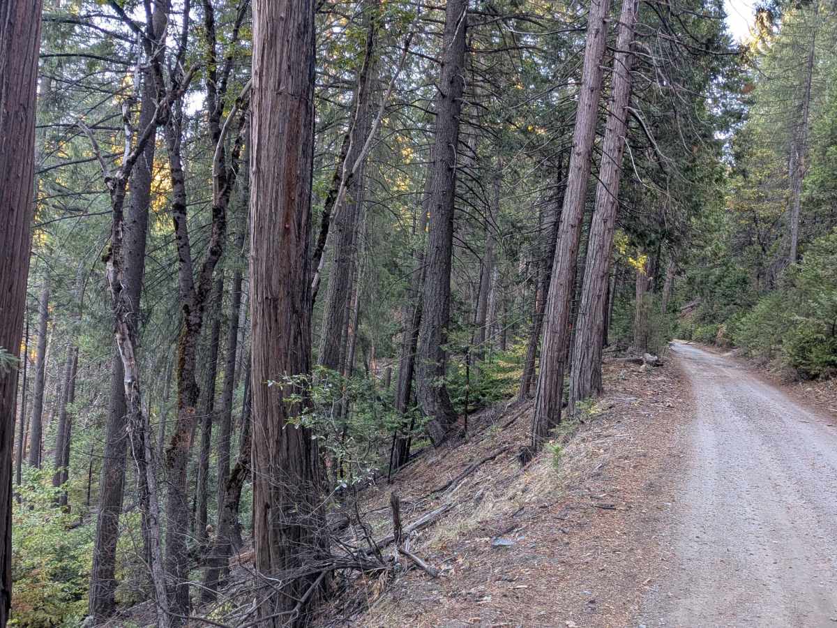 Fraser Flat Road East - FS 4N01 photo 3