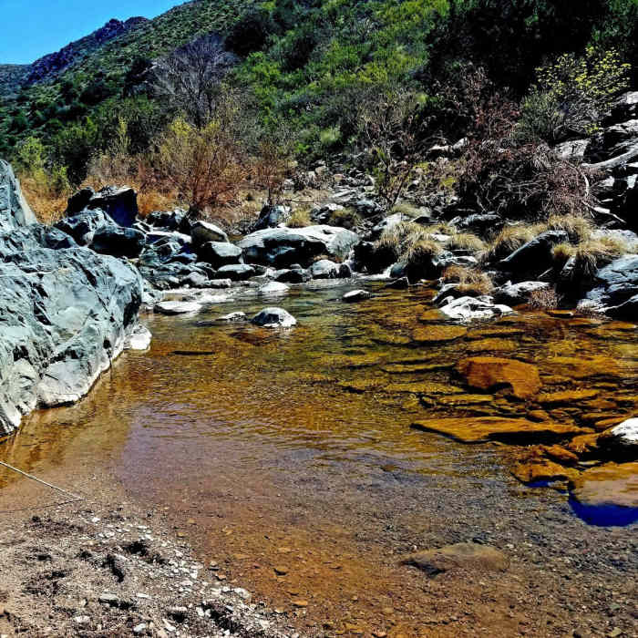 Near Skunk Tank - Cave Creek Loop