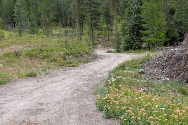 Chiliwist Creek Road